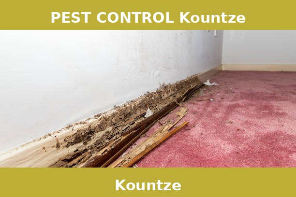 PEST CONTROL Kountze